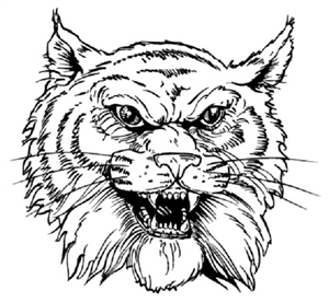 Wildcat 